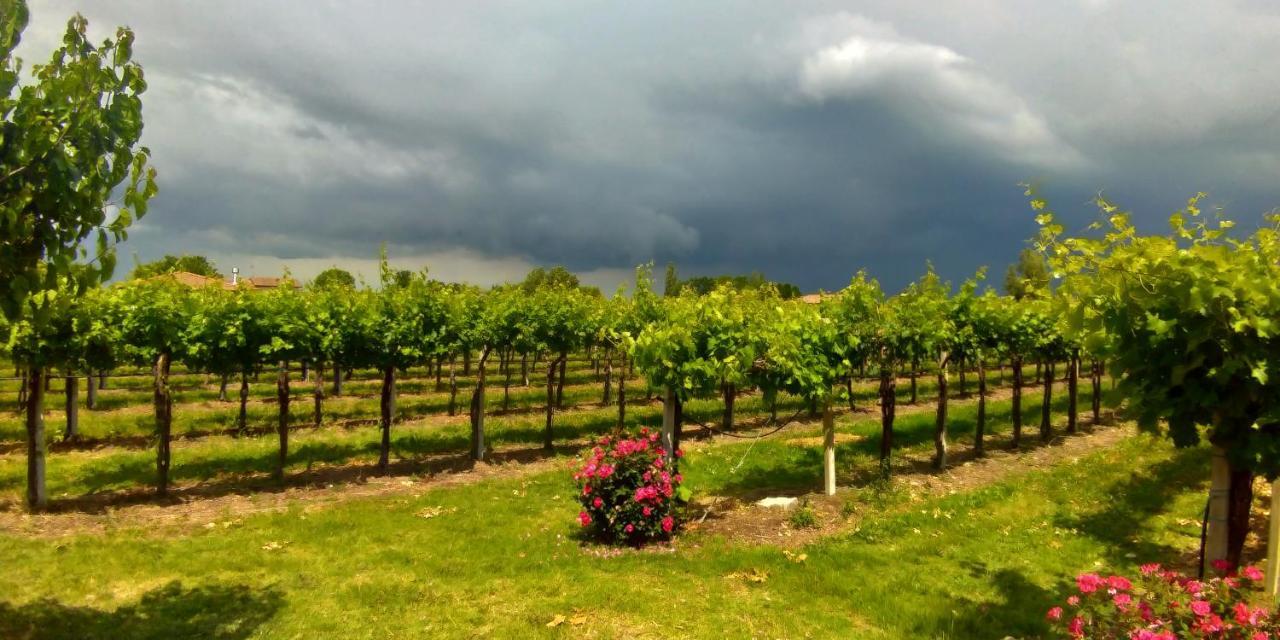 Agriturismo Fondo Gesu Sala Bolognese ภายนอก รูปภาพ