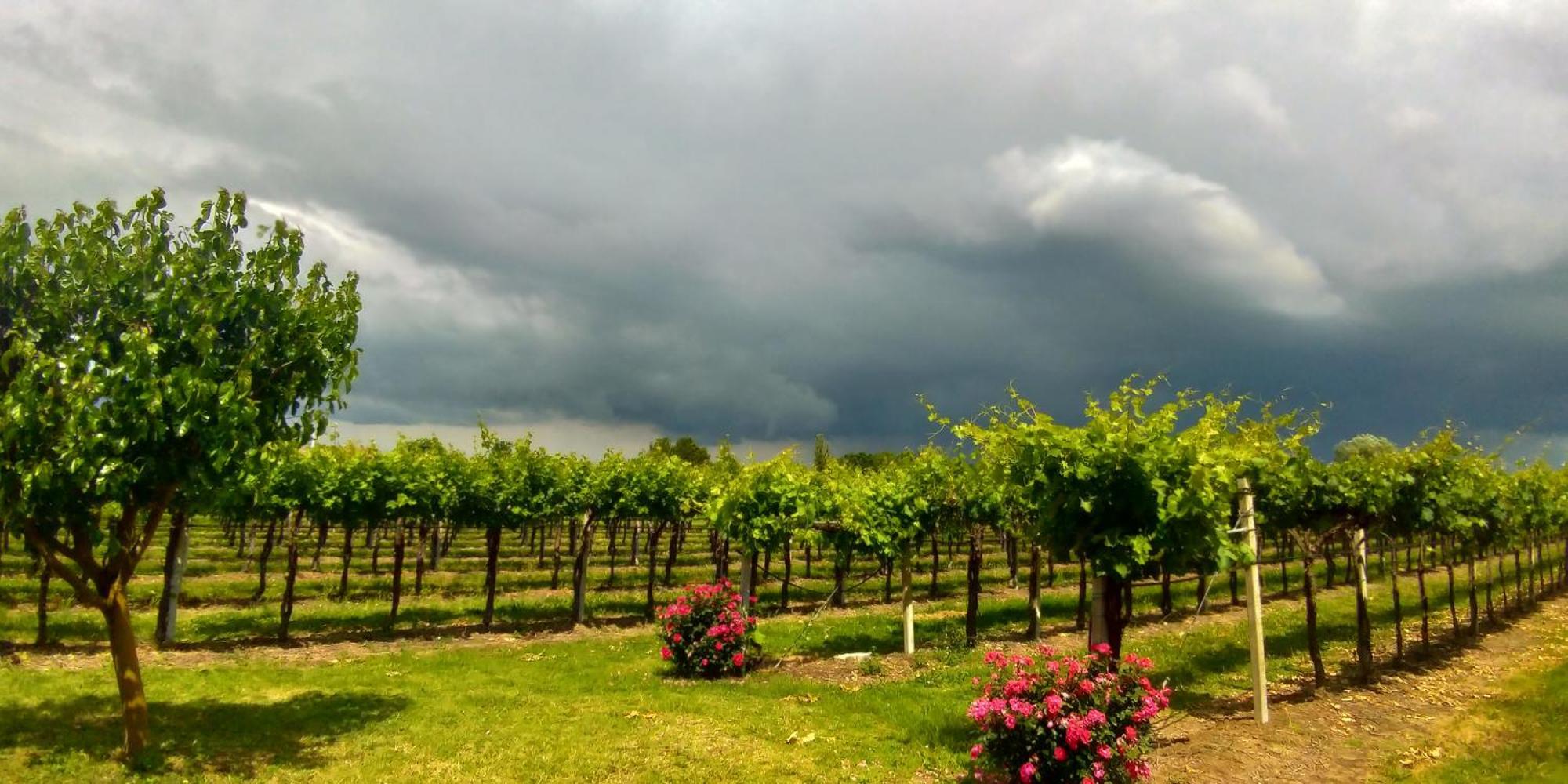 Agriturismo Fondo Gesu Sala Bolognese ภายนอก รูปภาพ
